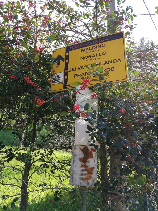 Agriturismo Nona Emma Piano Porlezza 外观 照片